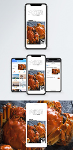 大闸蟹手机海报配图图片