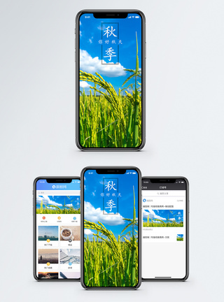 秋季稻田秋季手机海报配图模板