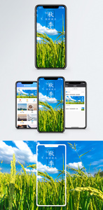 秋季手机海报配图图片