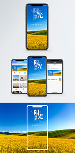 阳光灿烂的日子手机海报配图图片