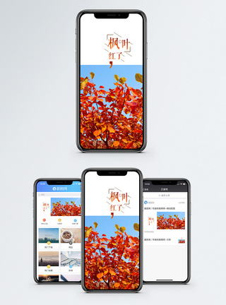 红枫叶枫叶红了手机海报配图模板