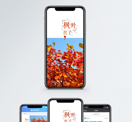 枫叶红了手机海报配图图片