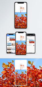 枫叶红了手机海报配图图片