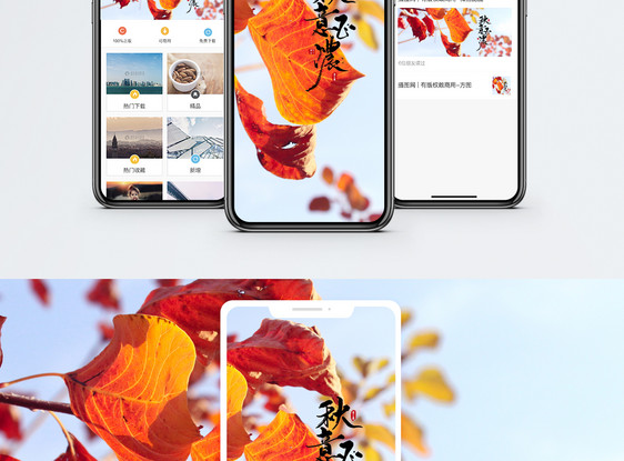 秋意正浓手机海报配图图片