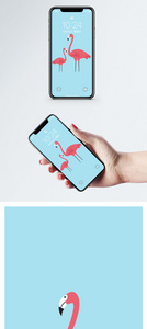 火烈鸟手机壁纸图片