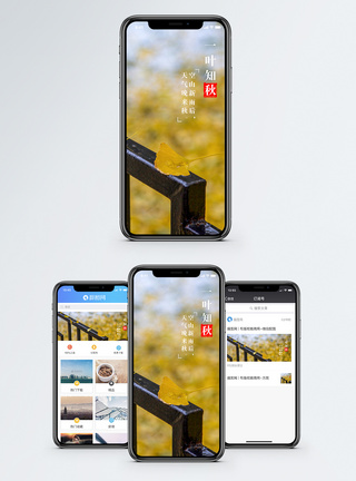 一叶知秋手机海报配图图片