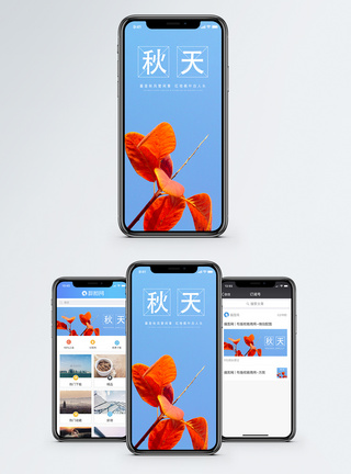 秋天手机海报配图图片