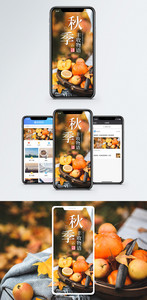 秋季物语手机海报配图图片
