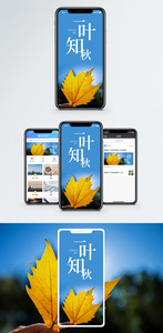 一叶知秋手机海报配图图片