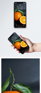 橘子手机壁纸图片
