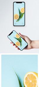 小清新柠檬手机壁纸图片