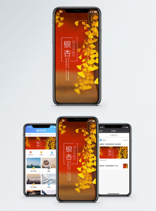 银杏手机海报配图图片
