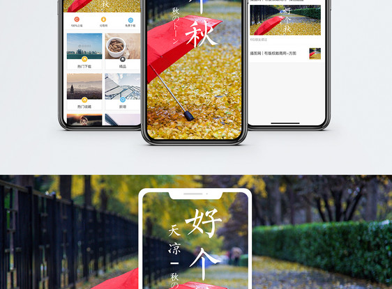 天凉好个秋手机海报配图图片