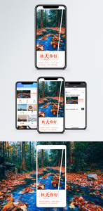 秋天你好手机海报配图图片