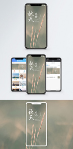 秋天手机海报配图图片
