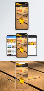 秋季来临手机海报配图图片