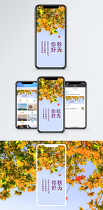 你好秋天手机海报配图图片