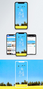 鸟儿迁徒手机海报配图图片