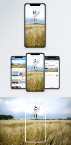 九月手机海报配图图片