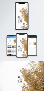 秋天手机海报配图图片