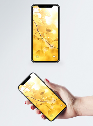 阳光光线银杏树叶手机壁纸模板