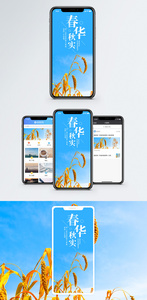 春华秋实手机海报配图图片