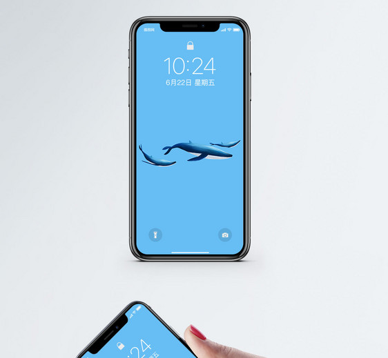 海洋生物手机壁纸图片