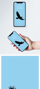 老鹰手机壁纸图片