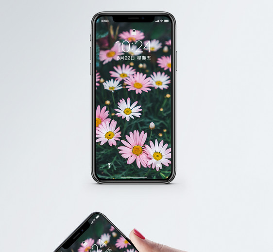 花卉花朵手机壁纸图片