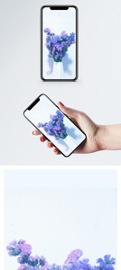 紫罗兰手机壁纸图片