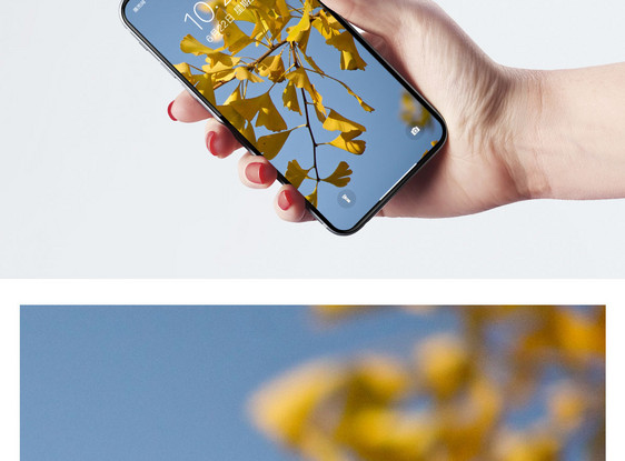 银杏叶手机壁纸图片