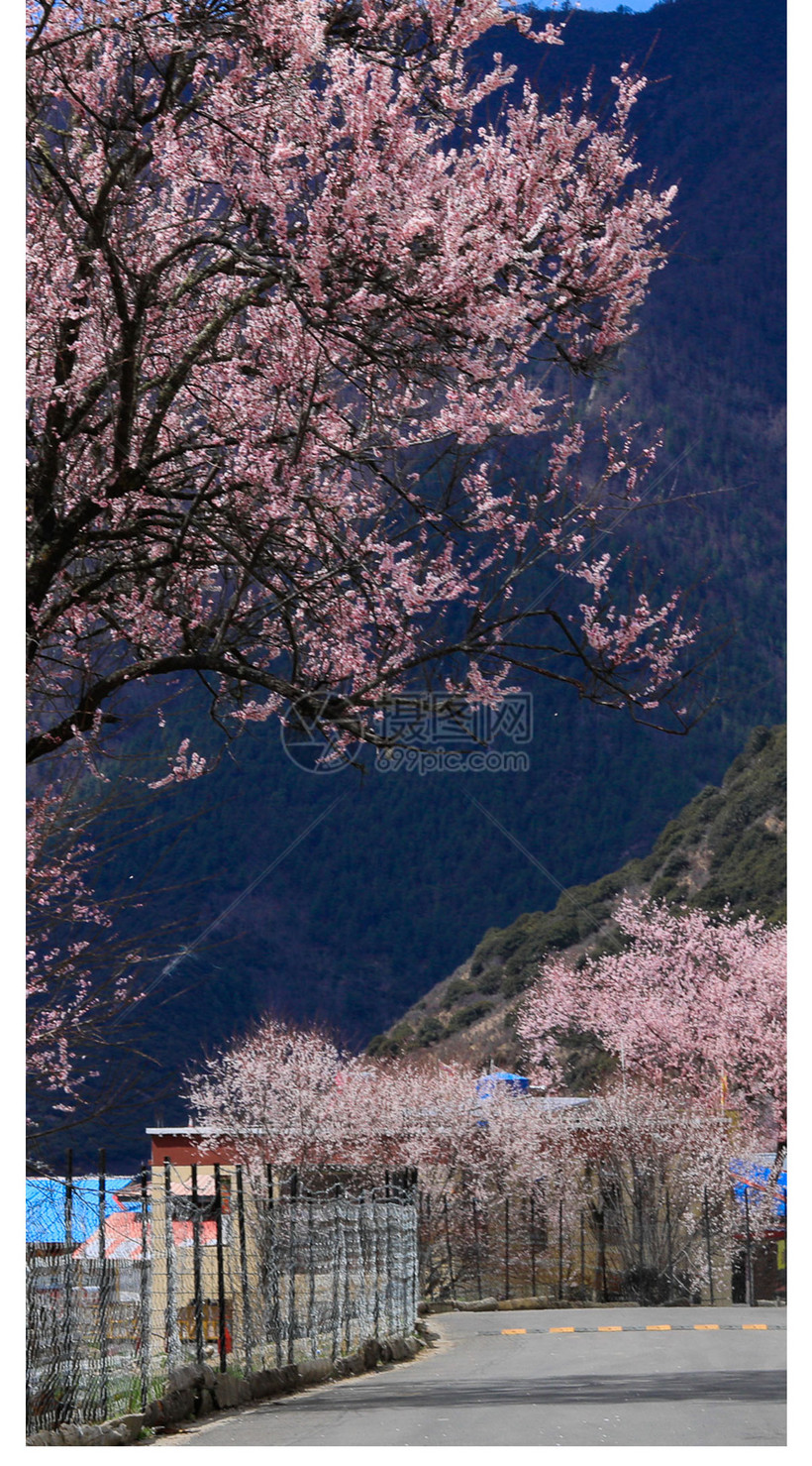 风景手机壁纸模板素材 正版图片 摄图网 风景手机壁纸模板素材 正版图片 摄图网