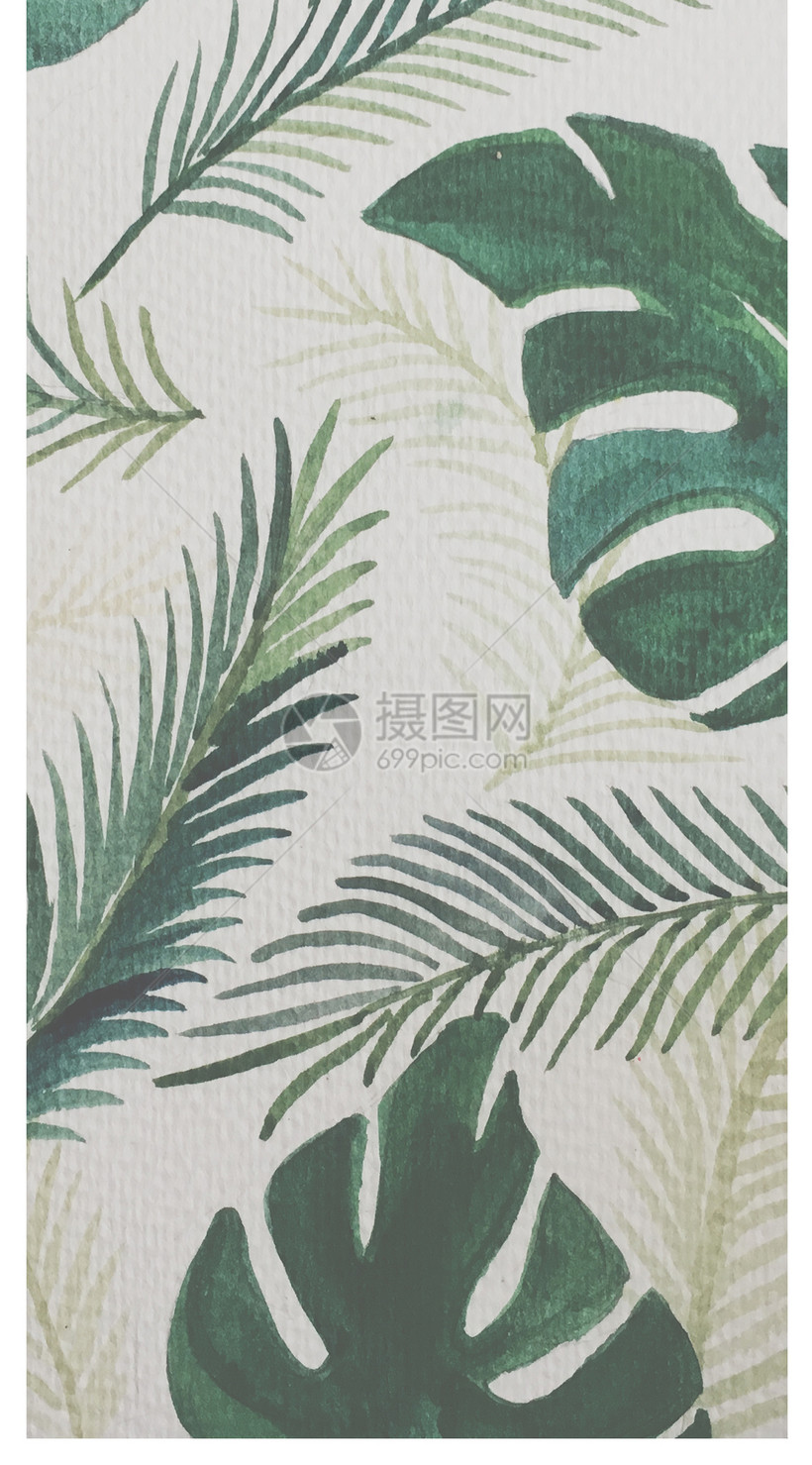 热带植物背景手机壁纸模板素材 正版图片 摄图网