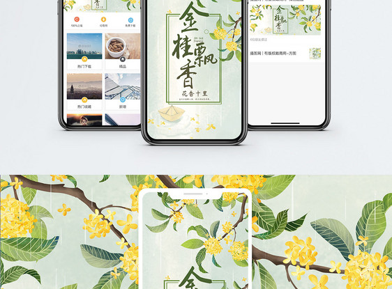 金桂飘香手机海报配图图片