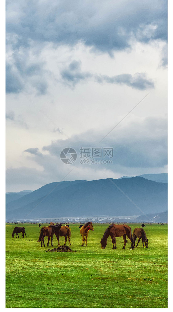 风景手机壁纸图片