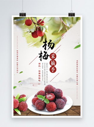 杨梅采摘季海报图片