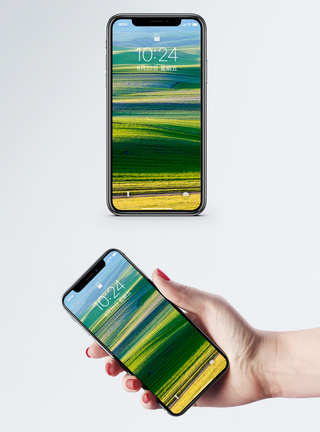 线条绿草原手机壁纸图片