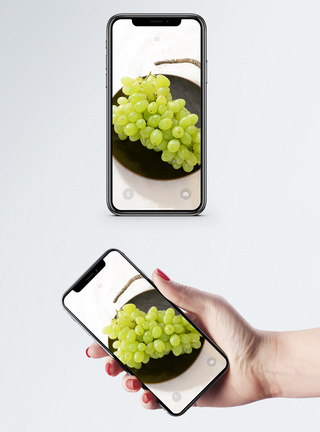 绿葡萄手机壁纸图片