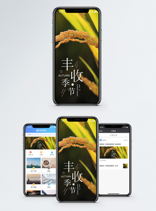 秋季稻田丰收季节手机海报配图模板