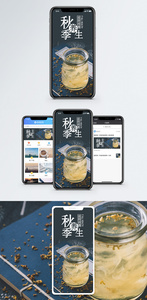 秋季养生手机海报配图图片