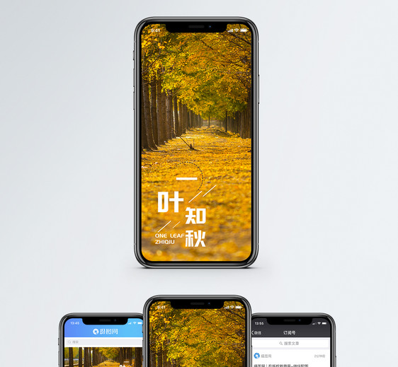 一叶知秋手机海报配图图片