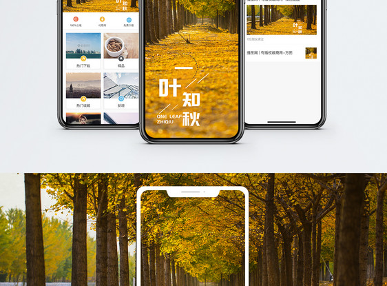 一叶知秋手机海报配图图片