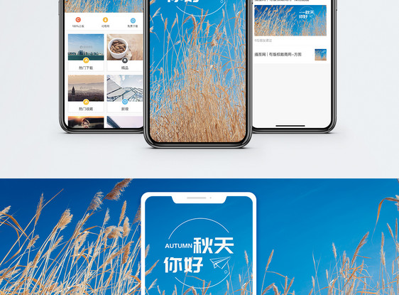 秋天手机海报配图图片