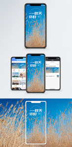秋天手机海报配图图片