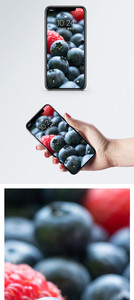 蓝莓手机壁纸图片