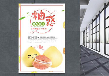 柚子水果海报高清图片