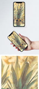 创意菠萝手机壁纸图片