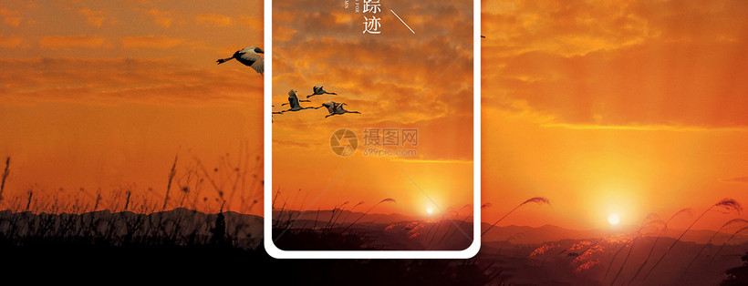寻觅秋天手机海报配图
