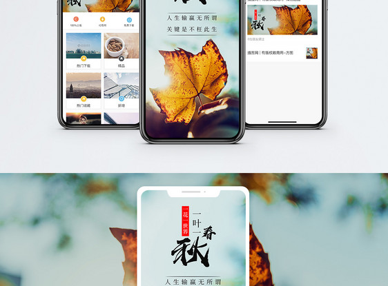 一叶一春秋手机海报配图图片