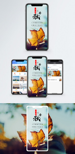 一叶一春秋手机海报配图图片